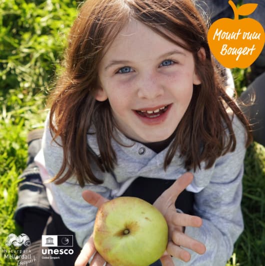 For children: Workshop on the diversity of varieties