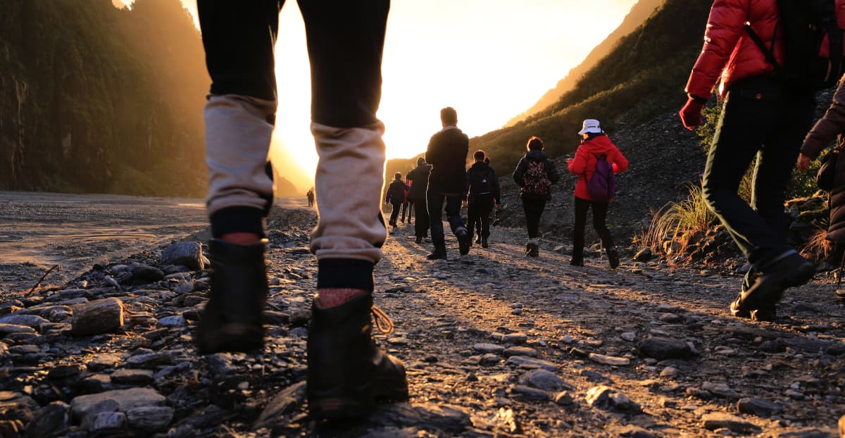 41st Popular Walk
