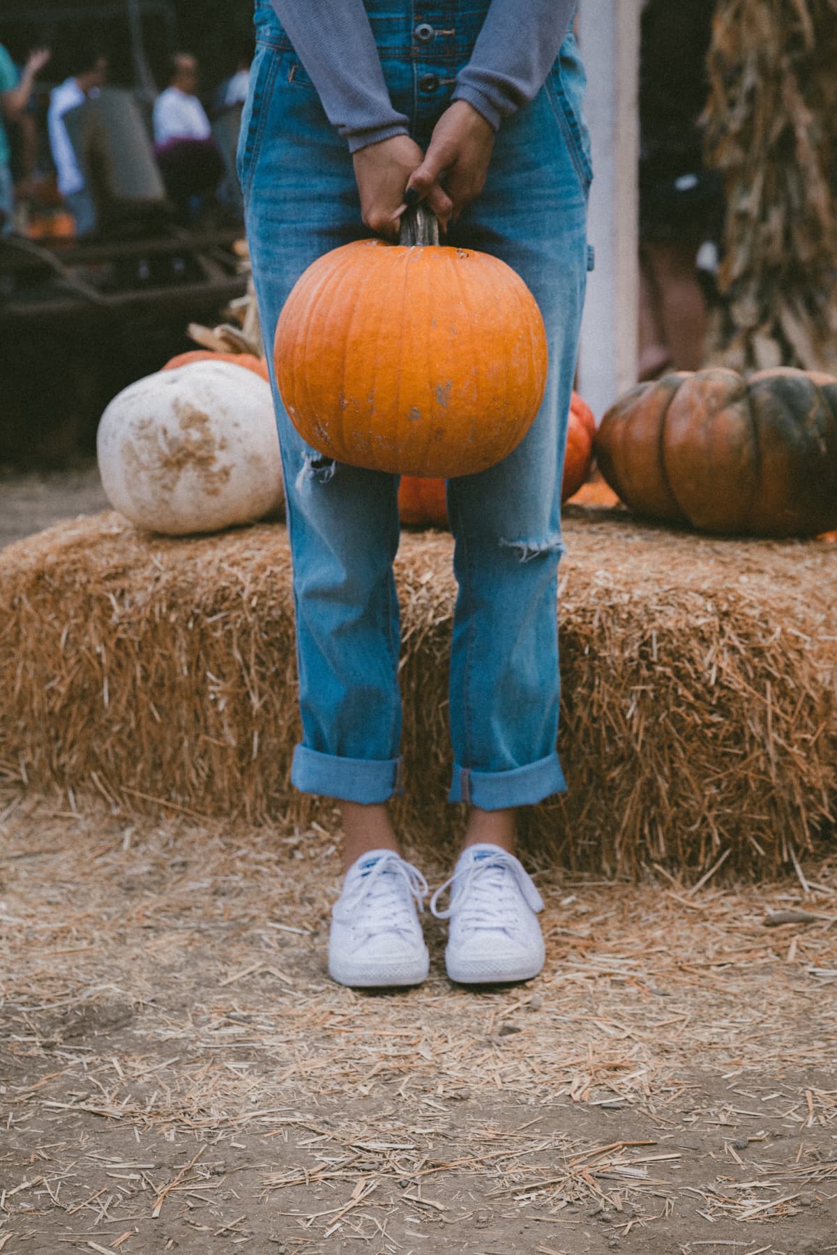 Samhain - Festival bêtes et sorcières
