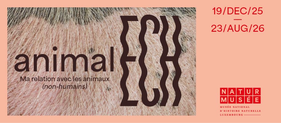 Temporary exhibition - animalECH