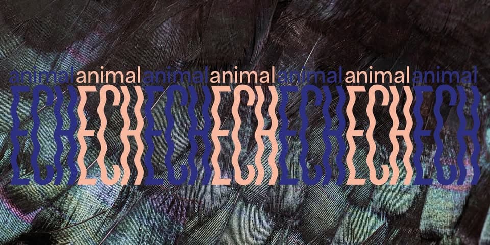 Visites guidées de l’exposition « animalECH » [LU | FR | DE | EN]