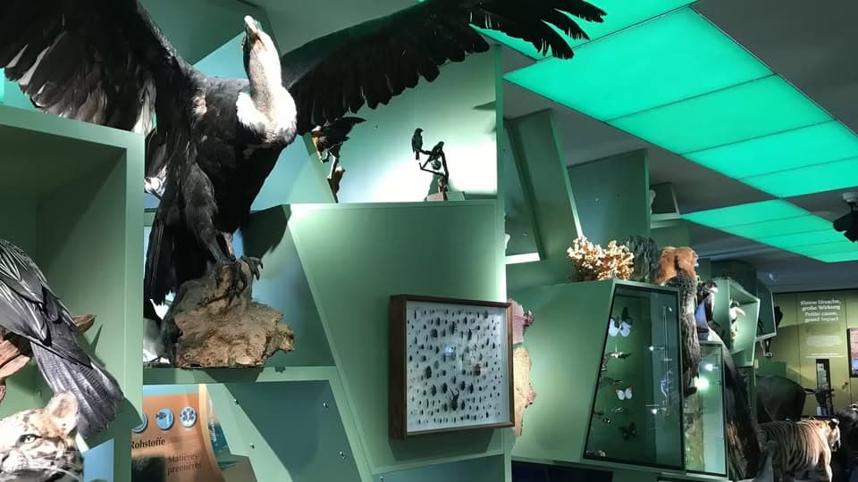 Visite guidée de l'exposition permanente [LU | FR | ENGL | DE]