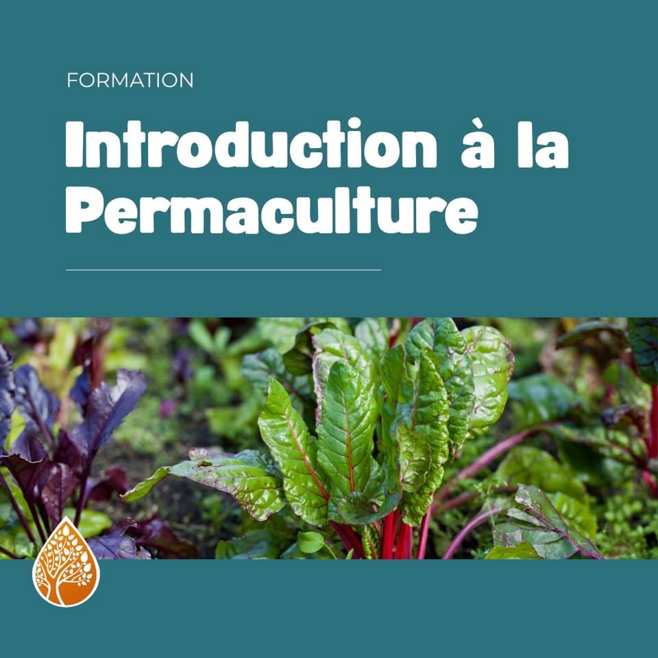 Introduction to Permaculture