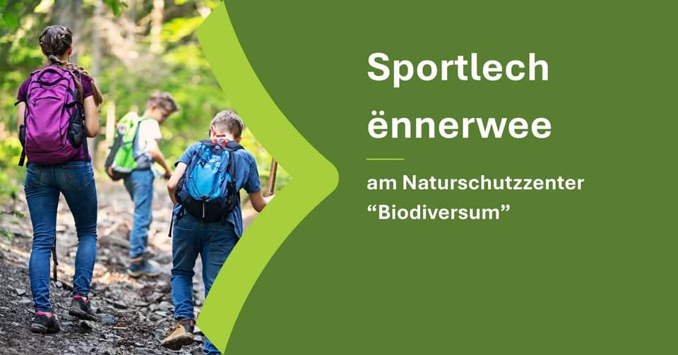 Sportif en chemin