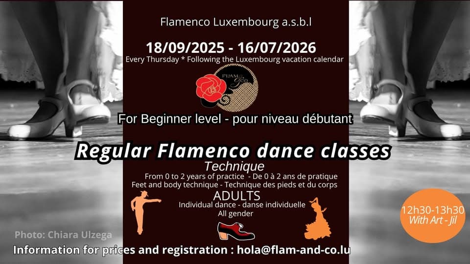Flamenco pour adultes : Débutant : Technique (tous les jeudis)