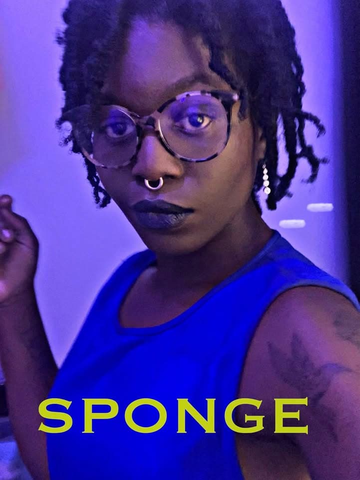 Sponge (Soul/Folk/Electro-Pop)
