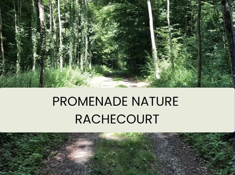 Promenade nature | « La cour des Grands »