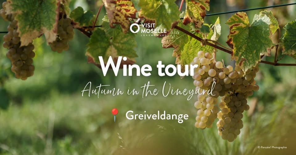 Wine Tour - Autumn in the Vineyard - 13/09