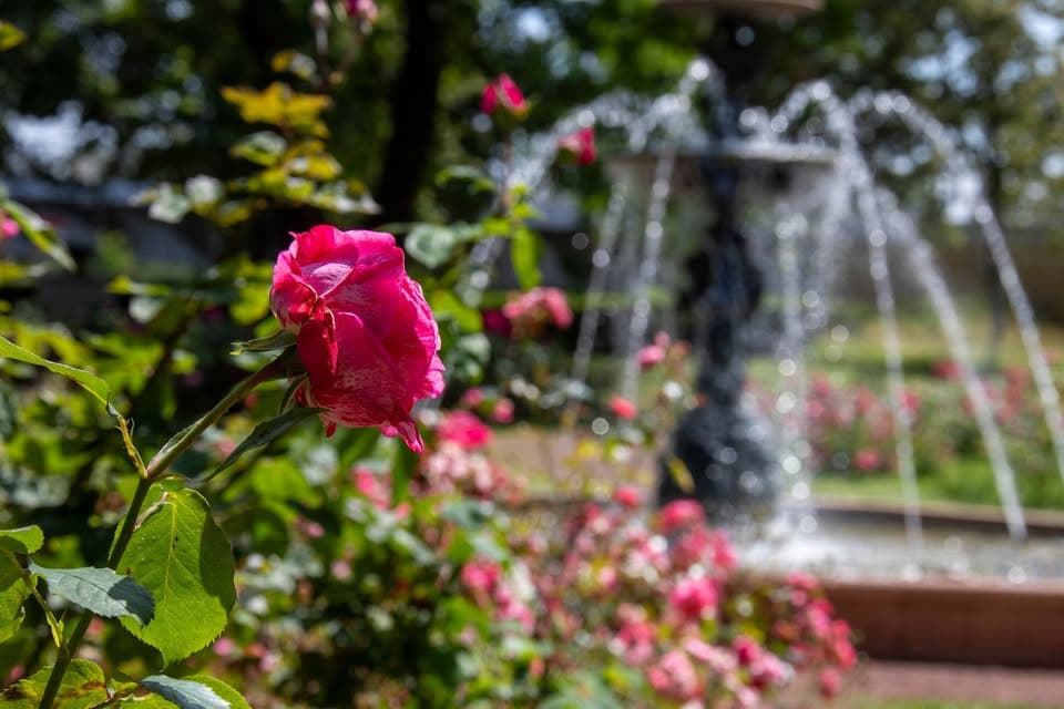 Visite guidée Thionville au naturel