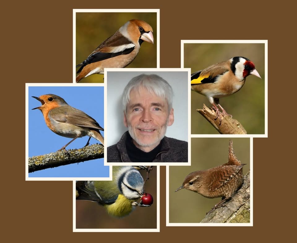 Talk: “Garden Birds”