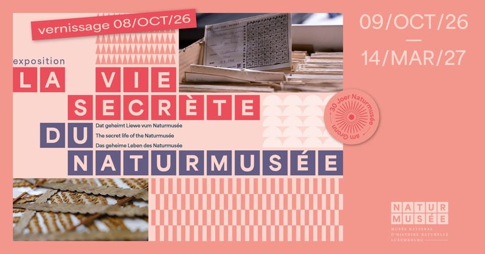 Vernissage – La vie secrète du Naturmusée