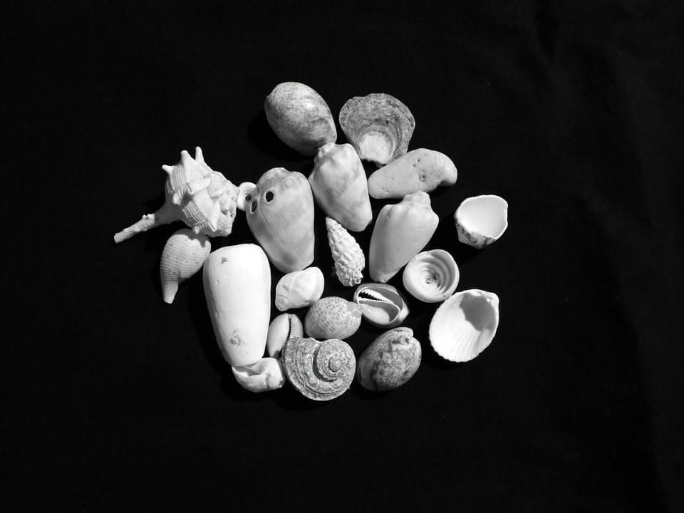 Youth Corner Photo | 6-12 ans | Ces objets qui nous racontent
