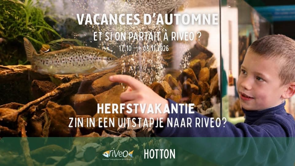 Autumn holidays with the family at RIVEO – Aquariums, mini-golf and surprises!