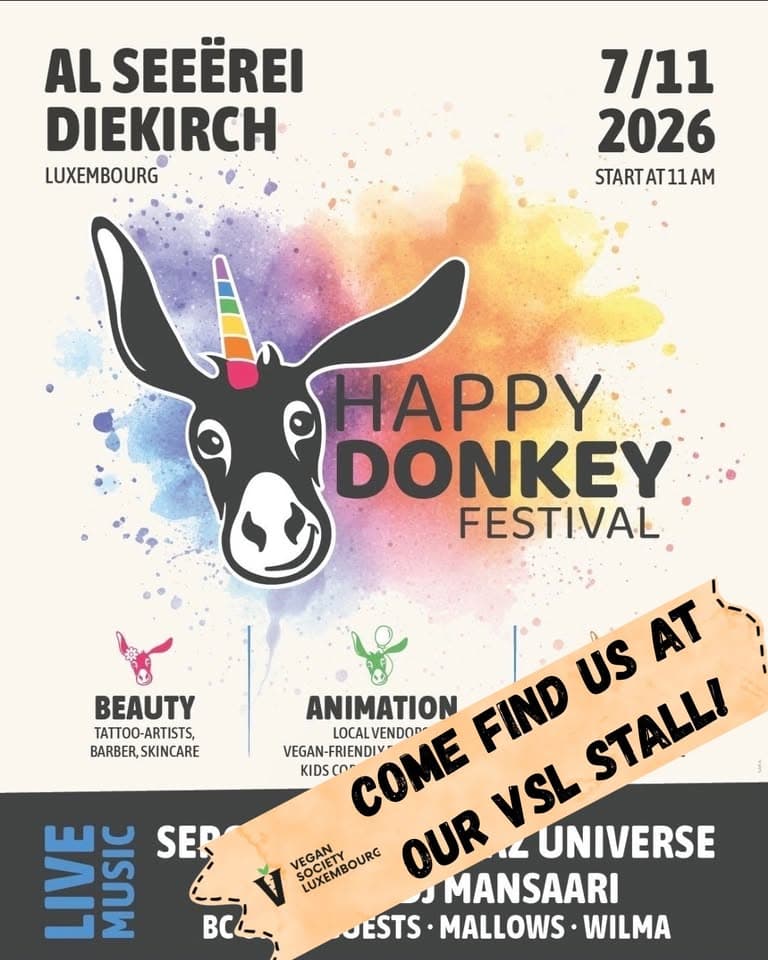 VSL Stall at Happy Donkey Festival