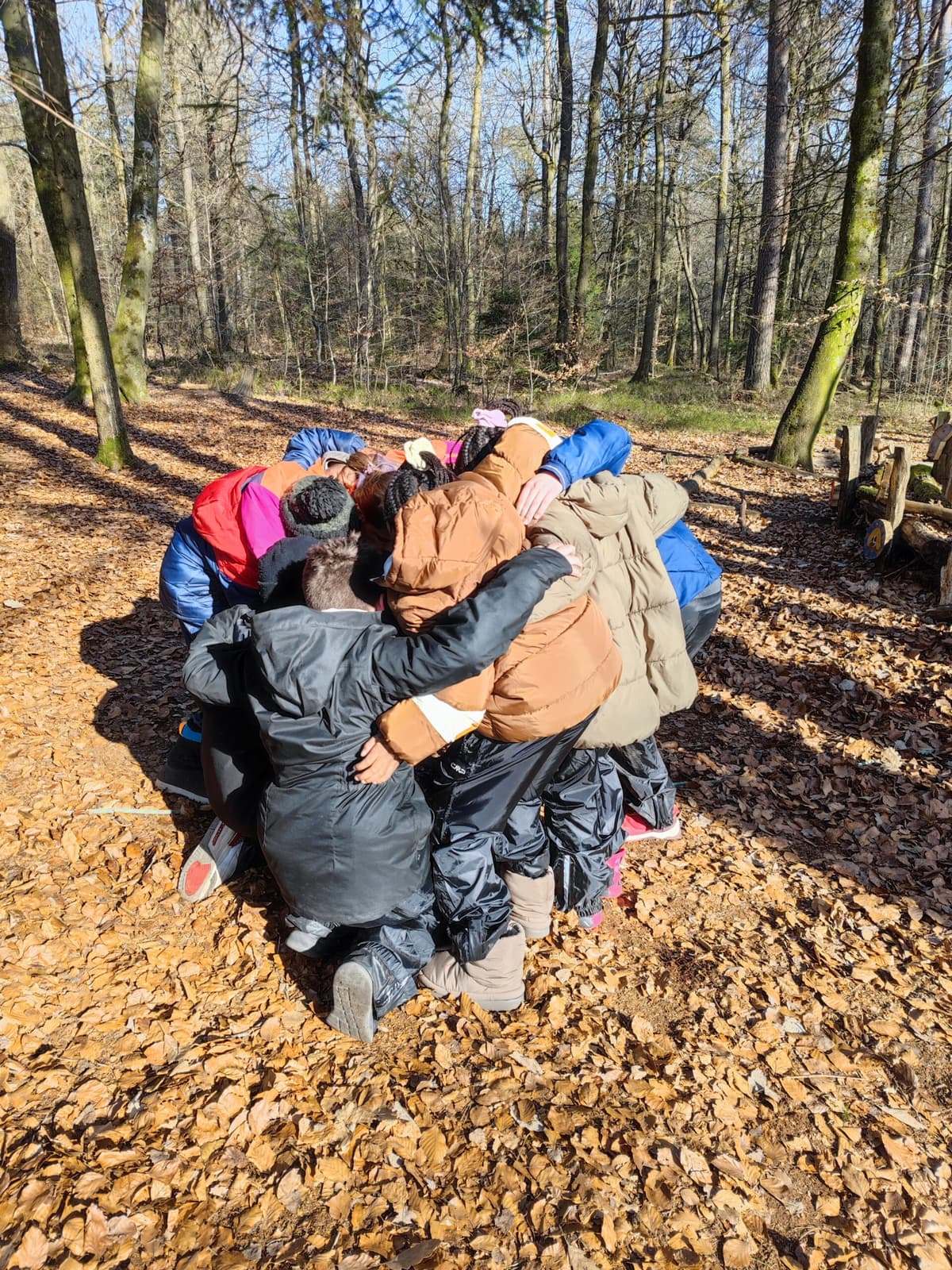 Language Support in the Forest