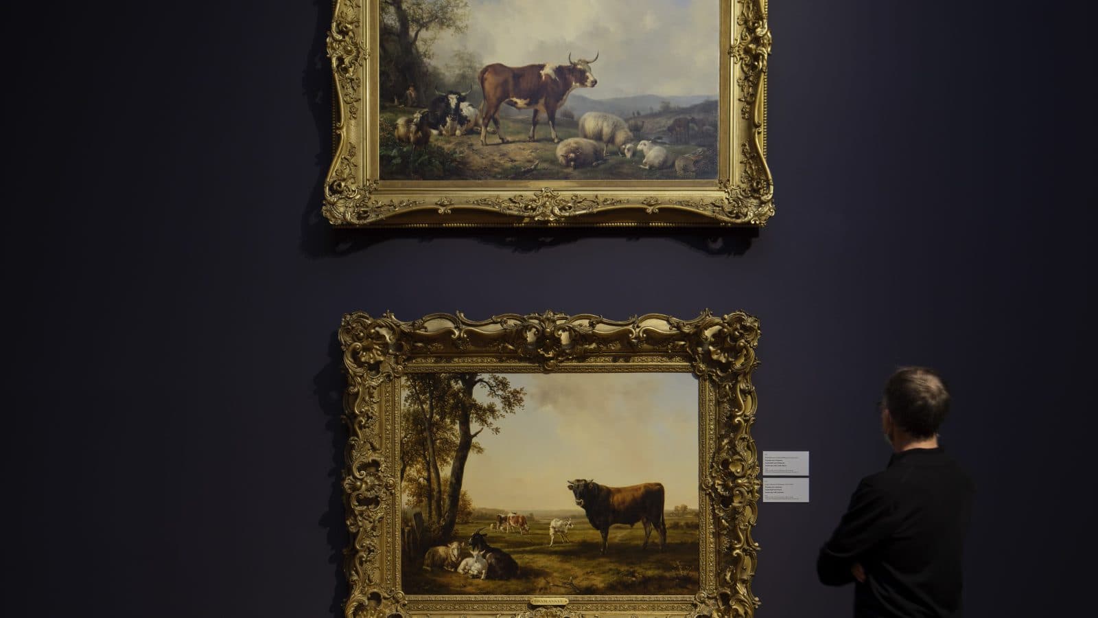 Visite guidée régulière: Une promenade à travers l'art