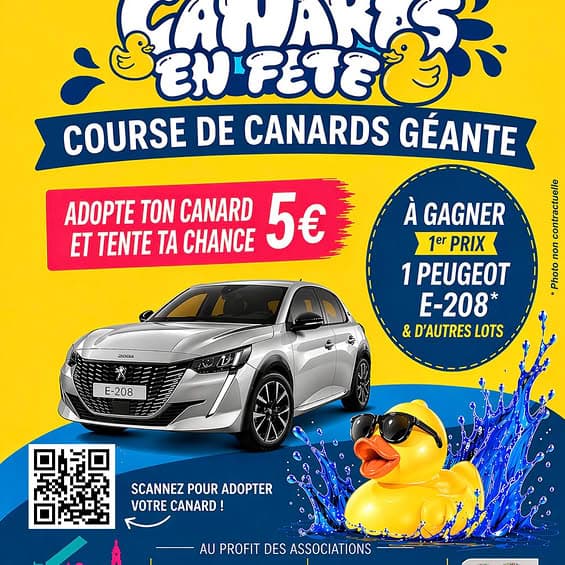 Canards en fête