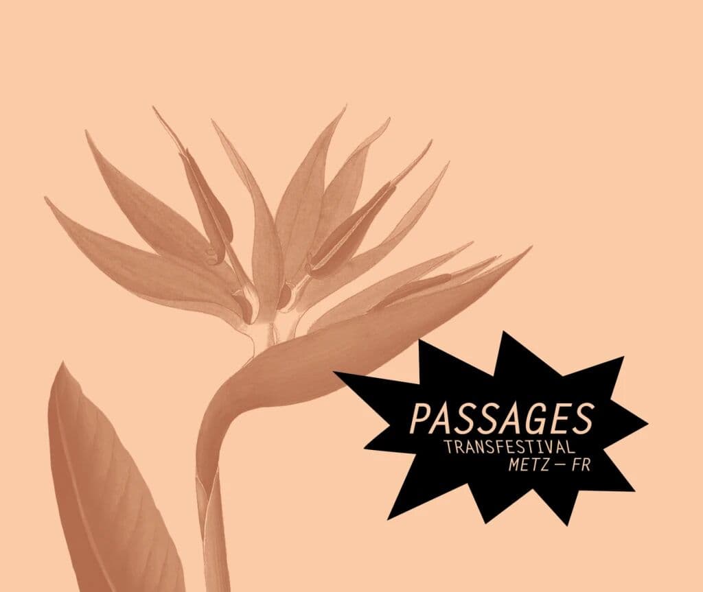 Passages Transfestival