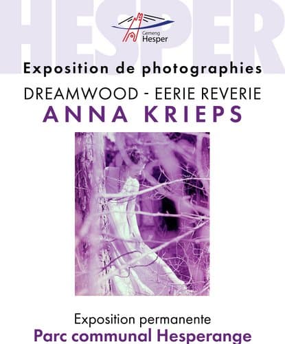 Anna Krieps Exhibition - DREAMWOOD - EERIE REVERIE