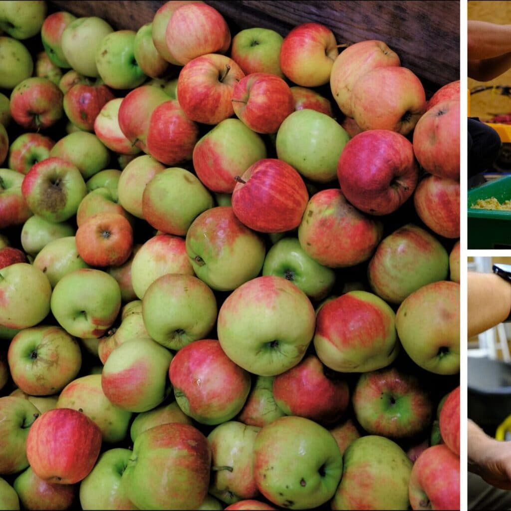 From apple to juice