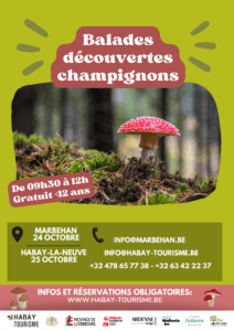 Mushroom discovery walks - Habay Tourism