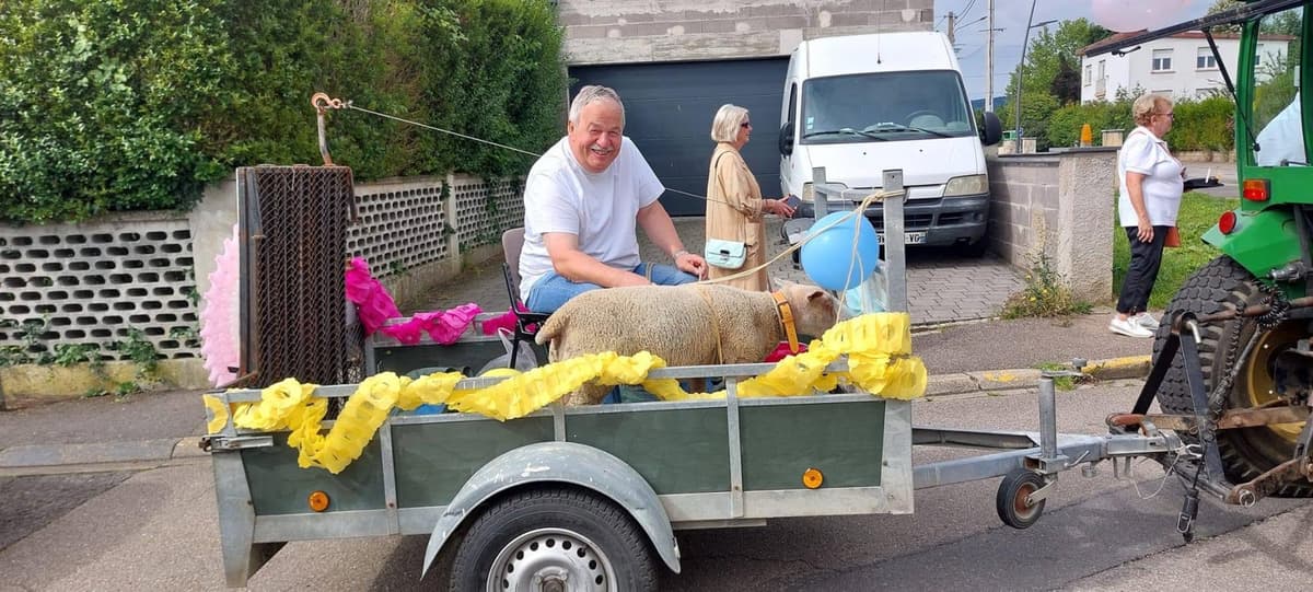 Marche du mouton