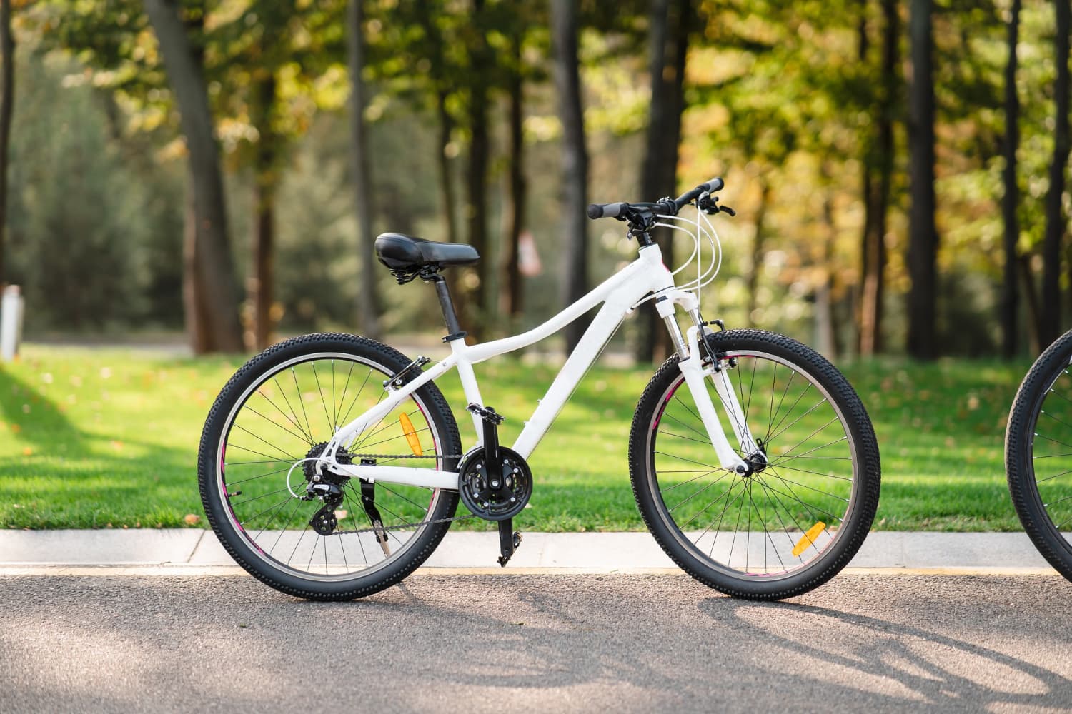 Bike market