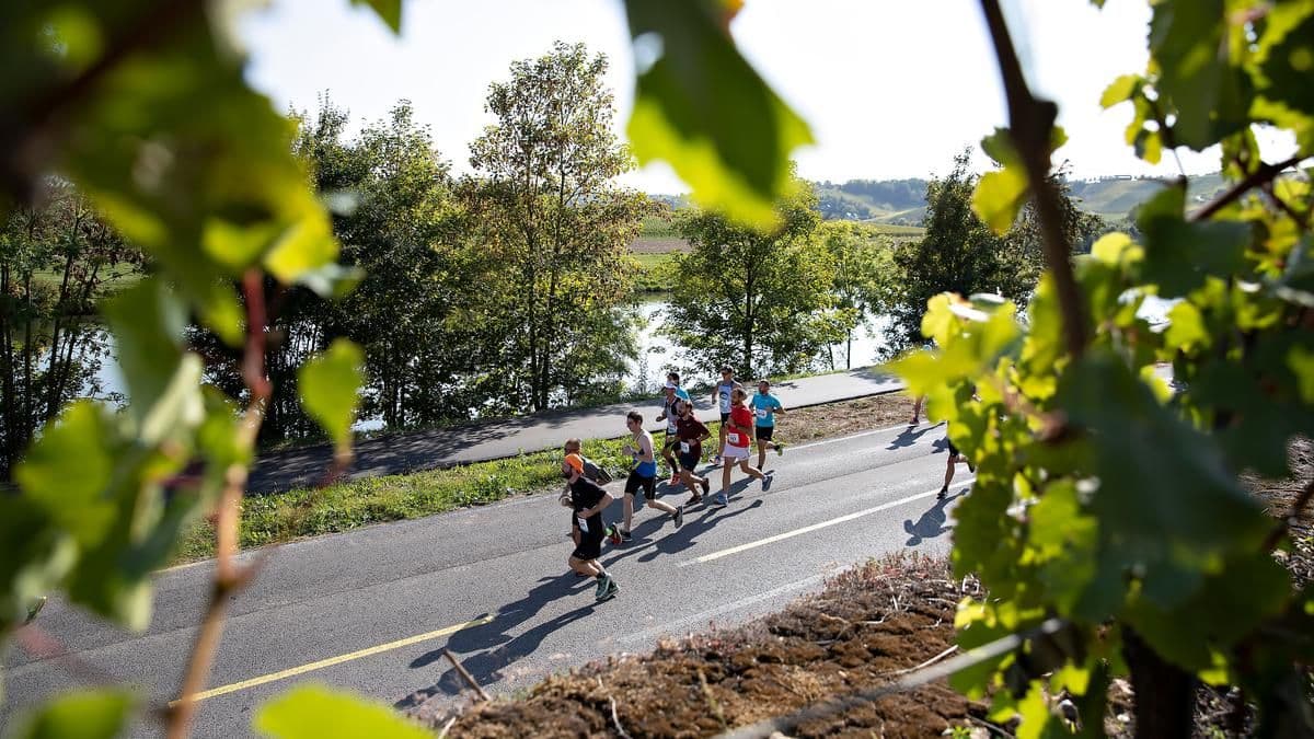 Route du Vin