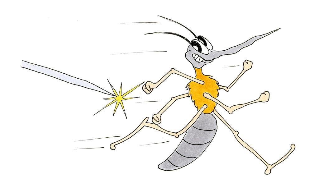 Collection d’insectes (9-10 ans)