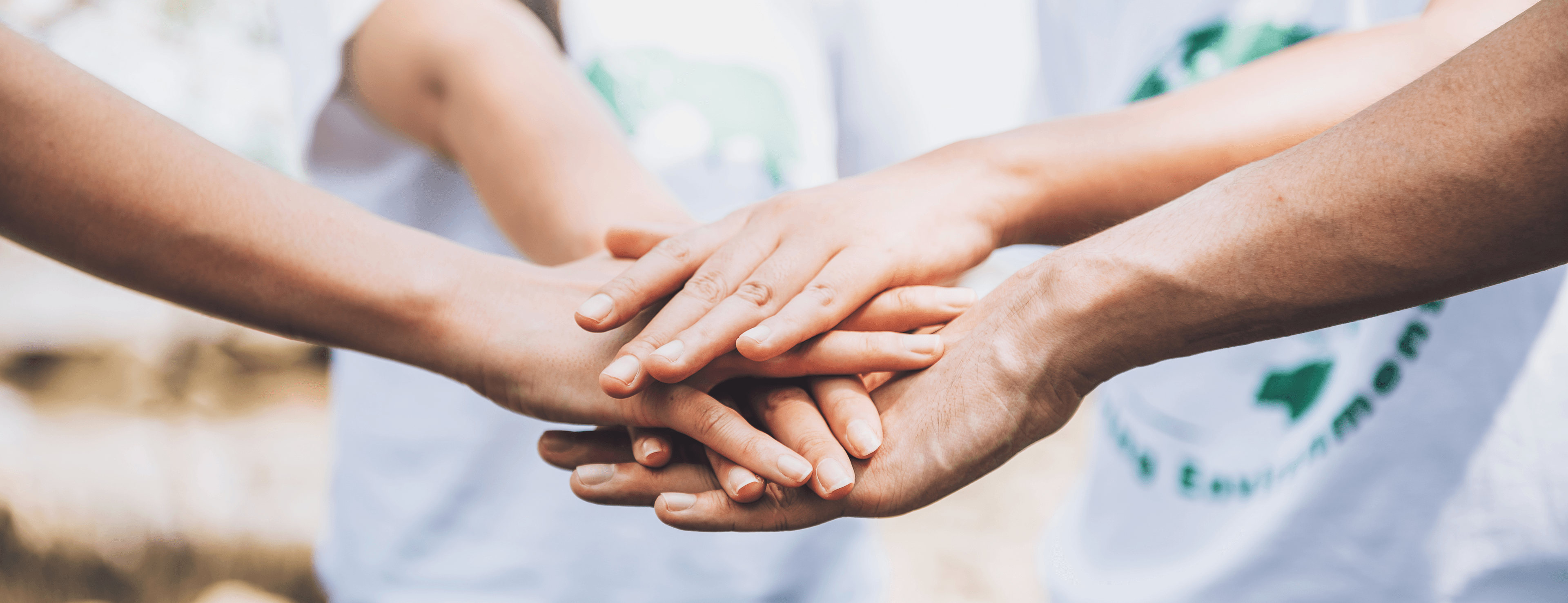 Volunteer Meetup