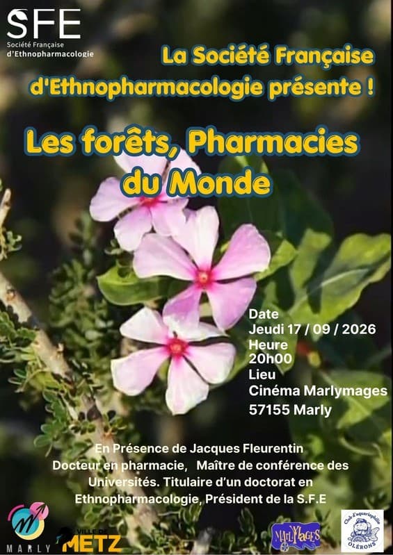 Cinema - Forests, Pharmacy of the World