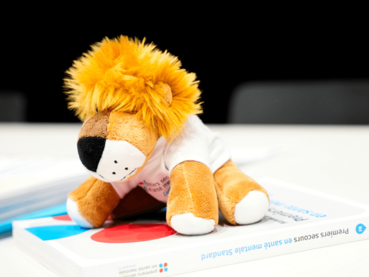 Mental Health First Aid Course – in French