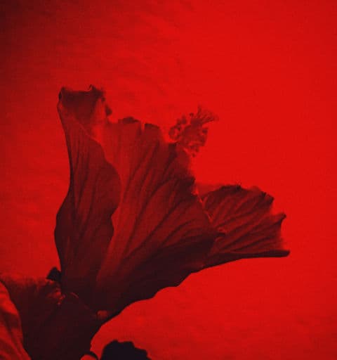 Andrew Watts, Helena Rasker, Miles Walter - rainy days