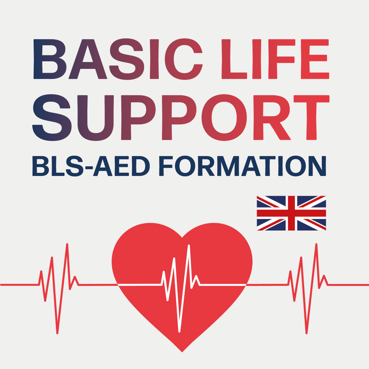 Formation Basic Life Support - BLS-AED (en anglais)