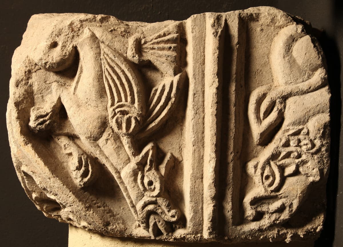 Dragons - Visite flash au Musée de la Cour d'Or
