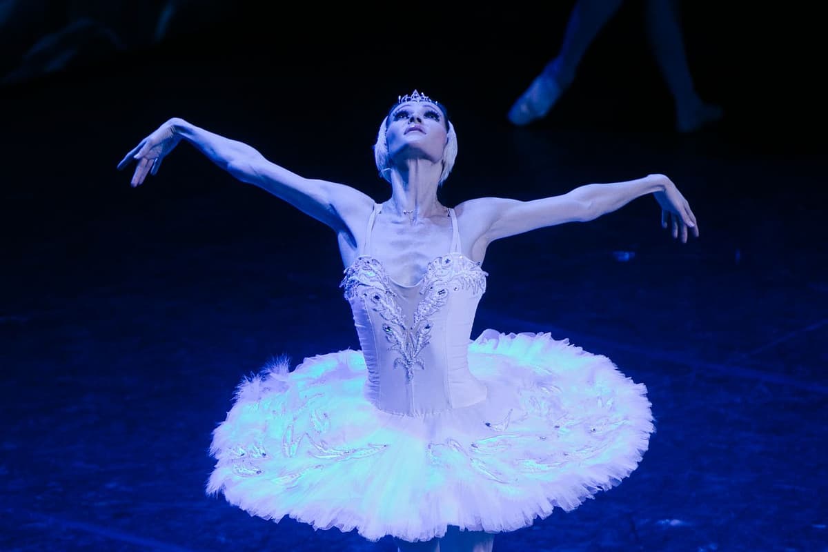 Swan Lake