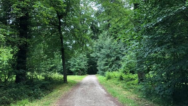 Fast-paced hikes vol. 9: The Bambesch exploration, 5.5–6 km/h, 16 km loop