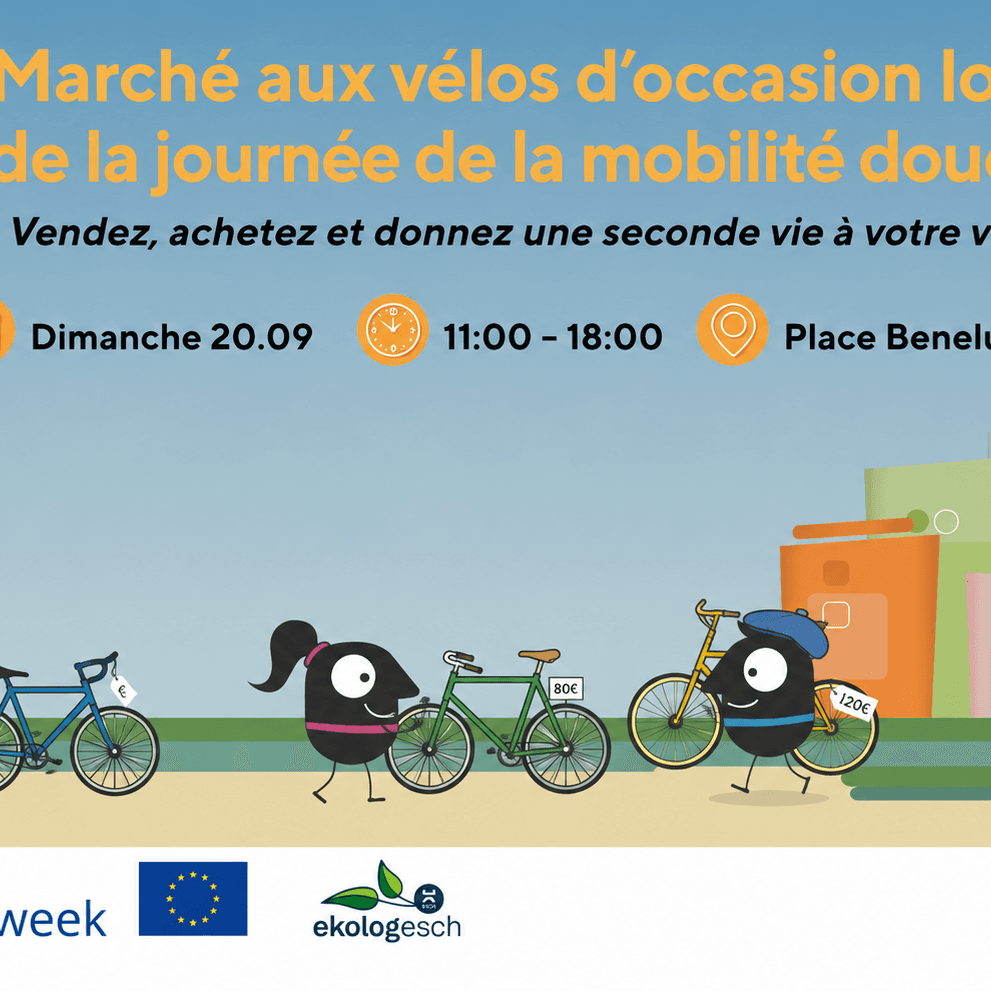 Marché aux vélos d’occasion lors de la journée de la mobilité douce