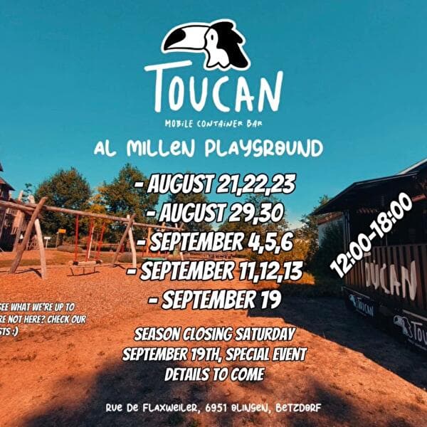 Toucan at Al Millen Playground
