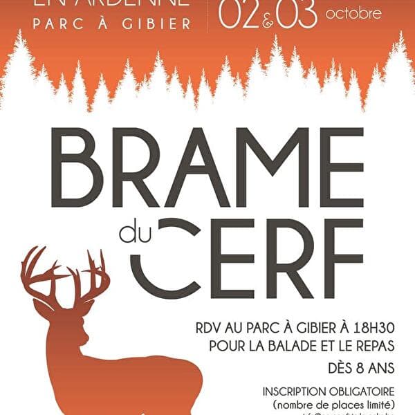 Le Brame du cerf