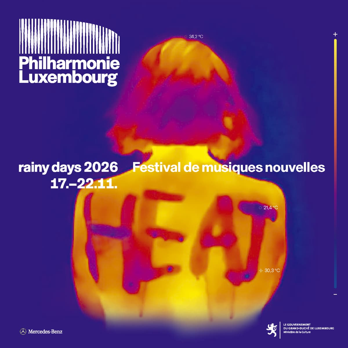 Rainy days 2026 - Contemporary music festival - 1