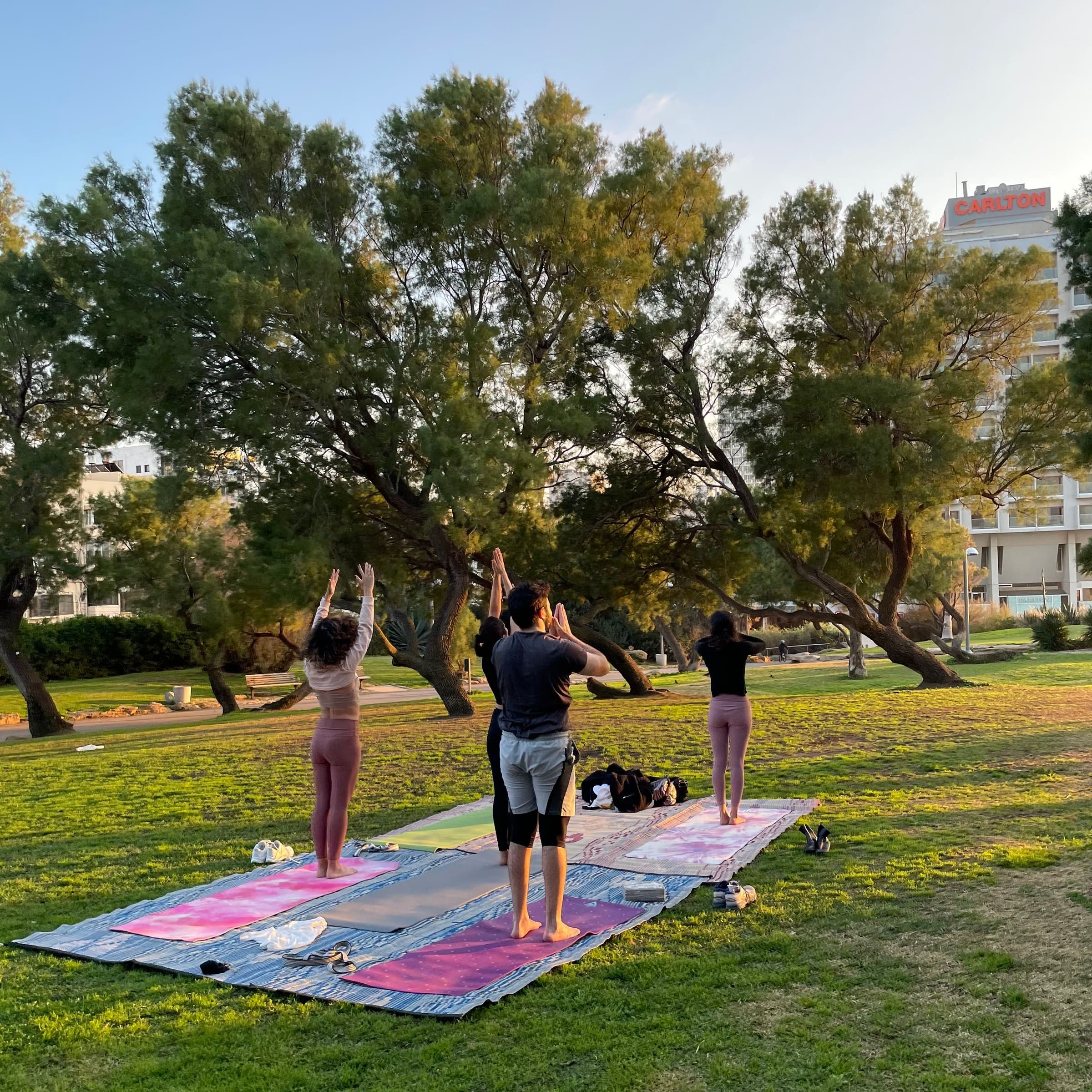 Yoga - séniors