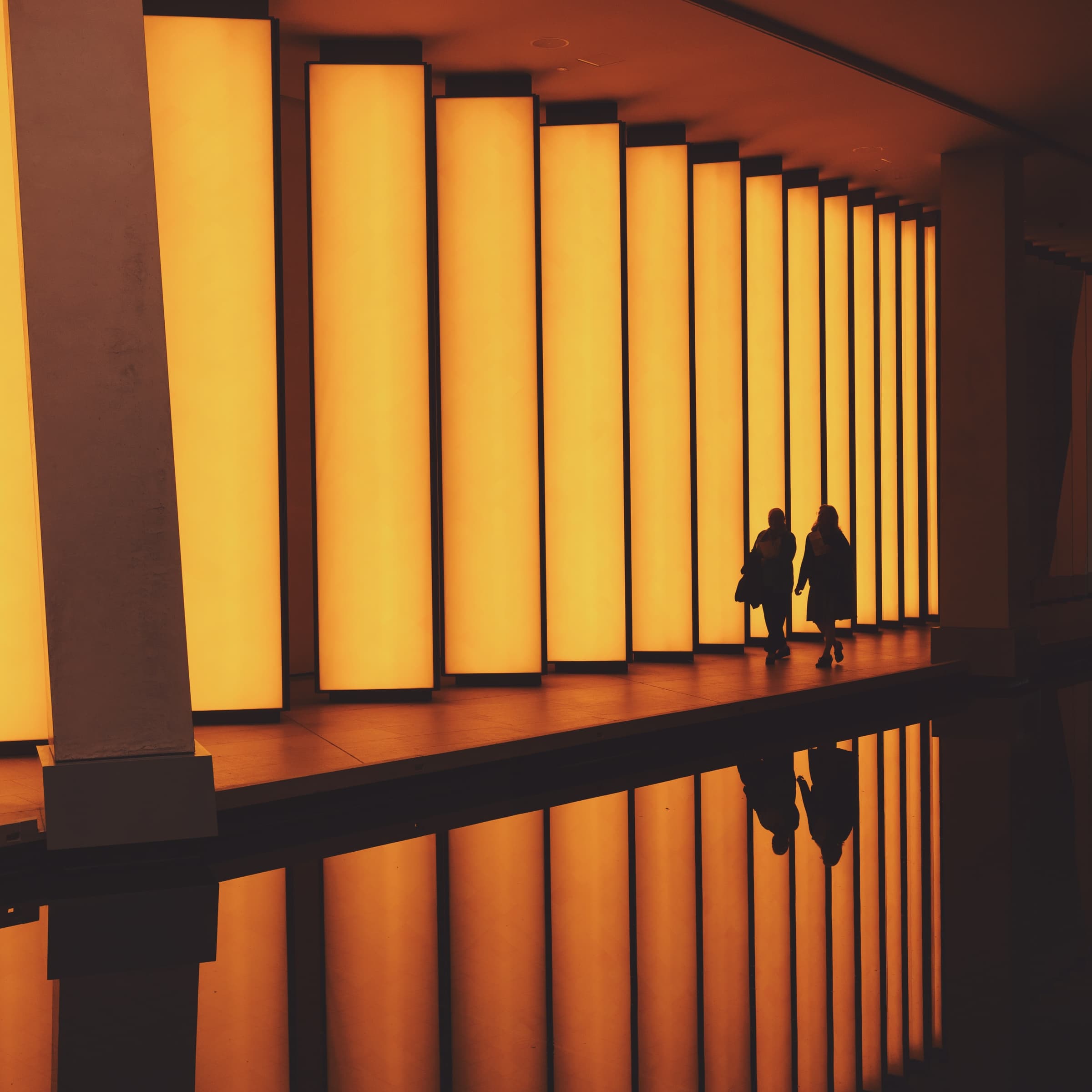 Nighttime Guided Tours