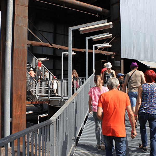 Summer guided tours