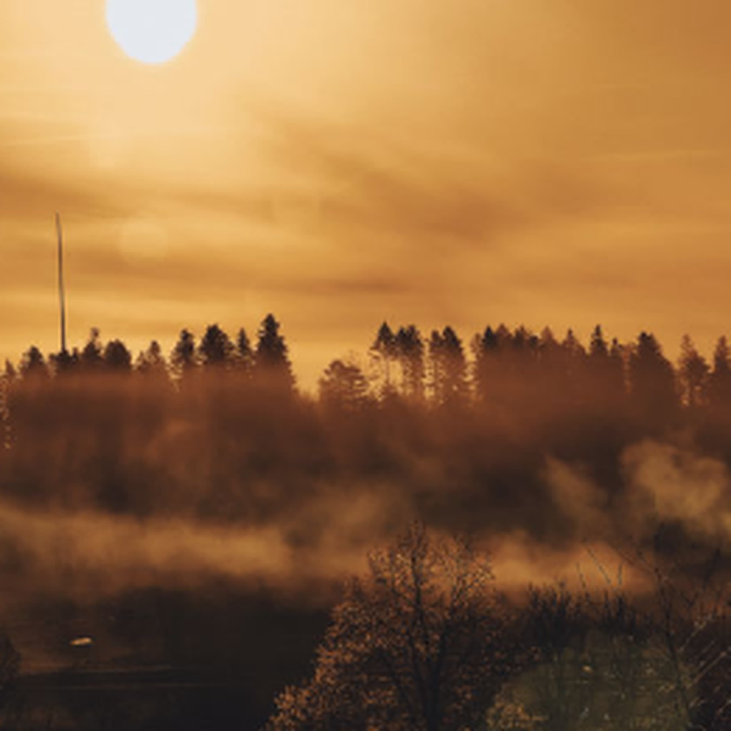 Black Hole Sun – Lab - rainy days