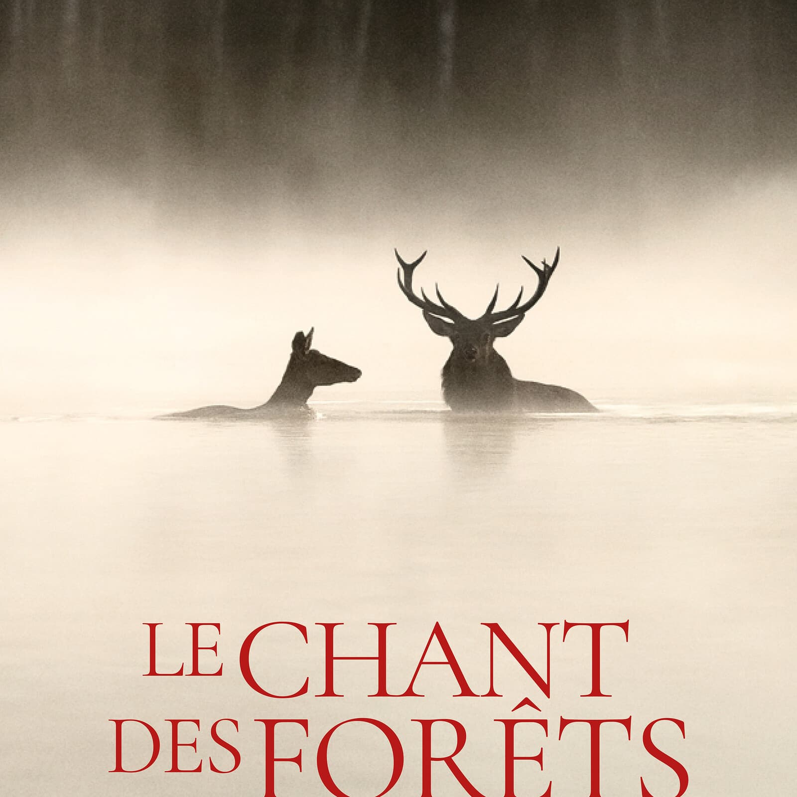 Screening of "The Song of the Forests"