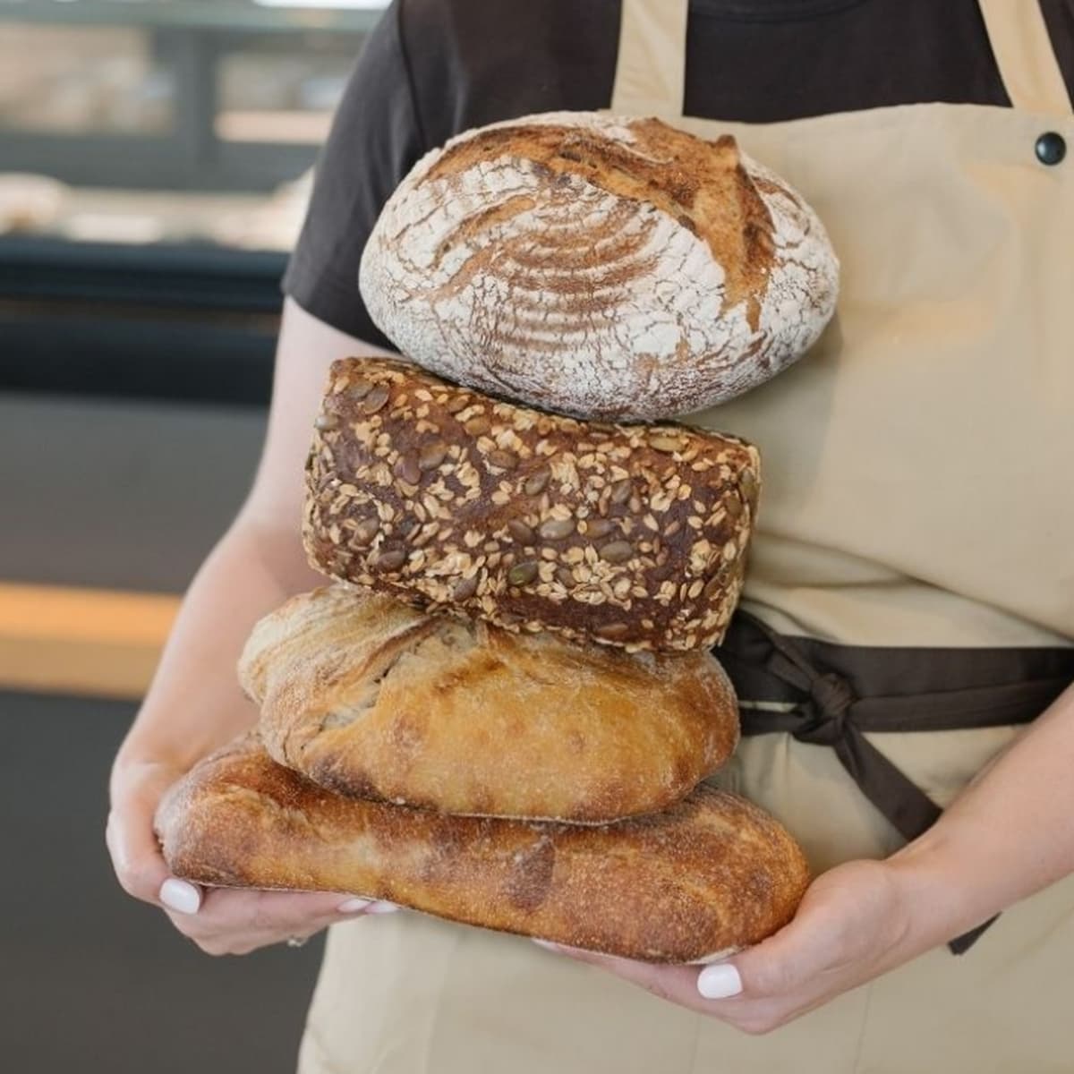 Les petits nouveaux de chez Fischer - 1