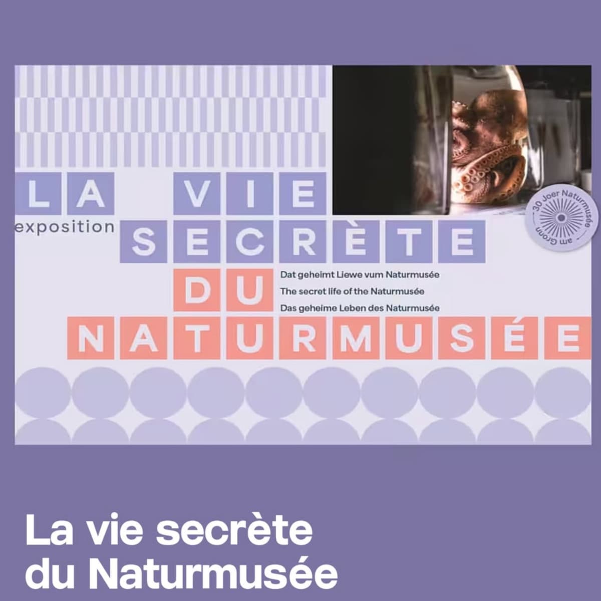 Nuit des Musées 2026 - Naturmusée