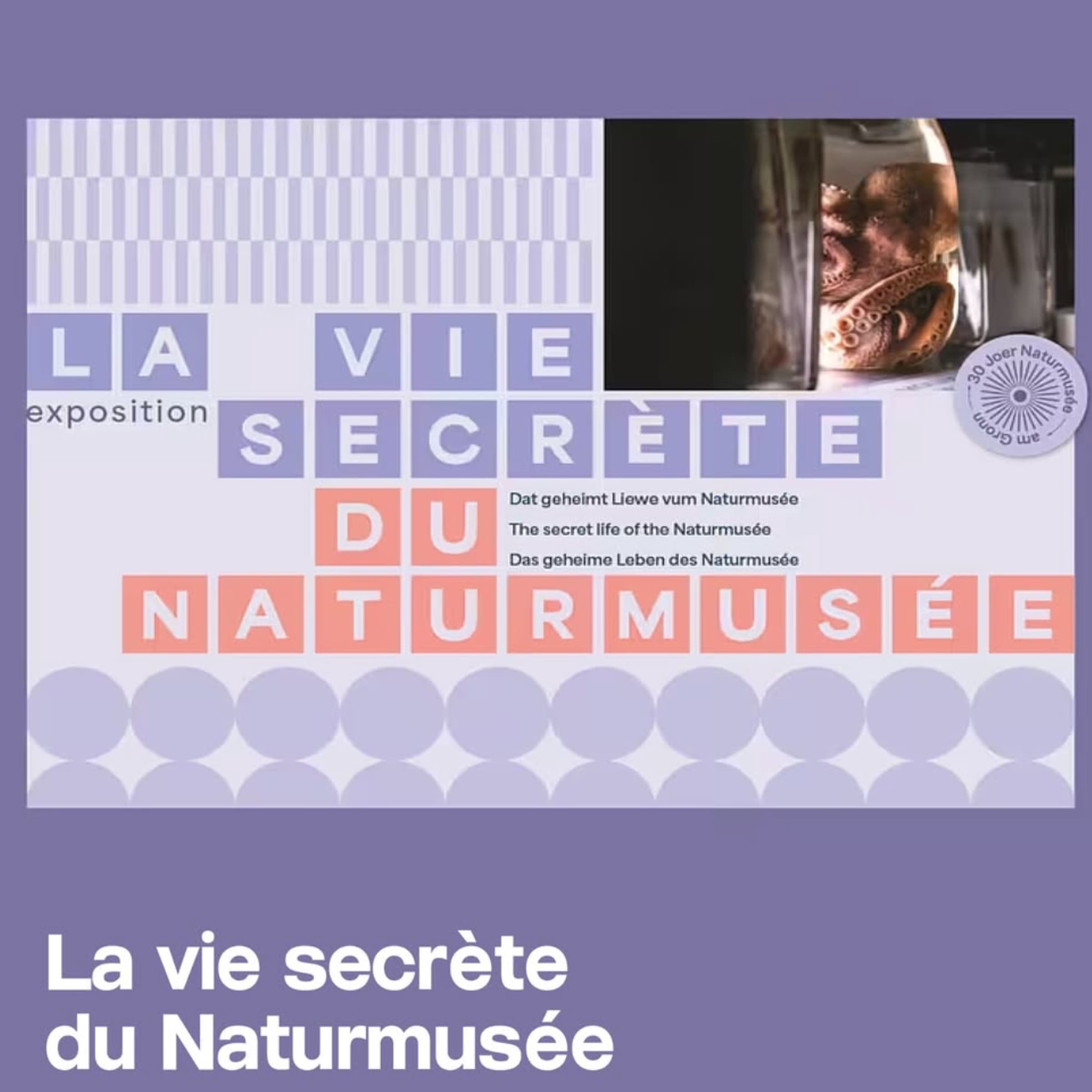 Nuit des Musées 2026 - Naturmusée