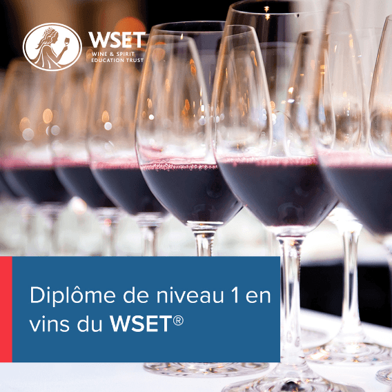 WSET Niveau 1 (FR)